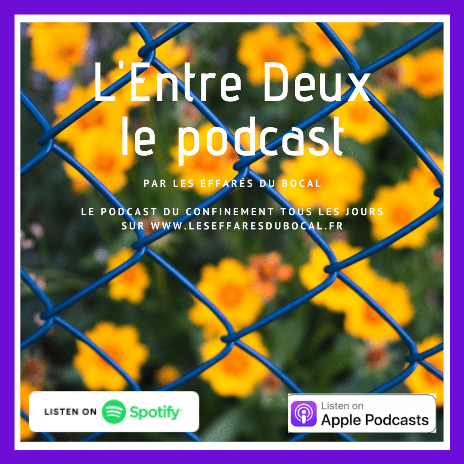 L’entre deux le podcast (3) (1)-min