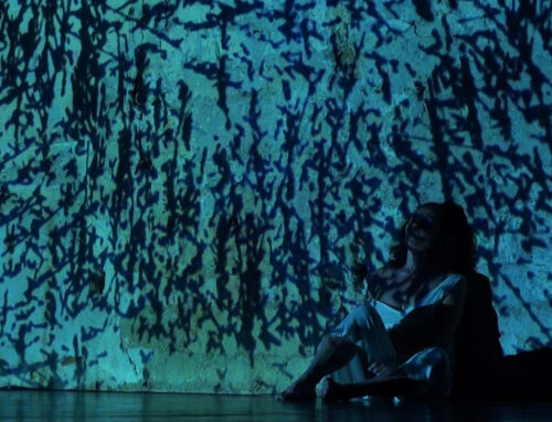 Nos danses profondes : interview avec Christine Bastin