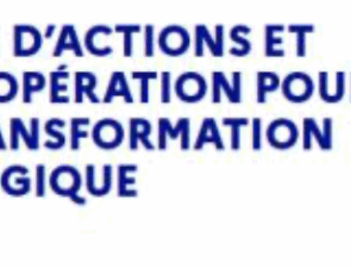 CACTÉ : un outil simple pour structurer votre transition écologique